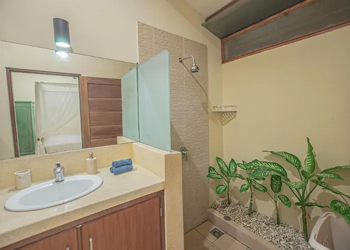 Sasa Bali 3*