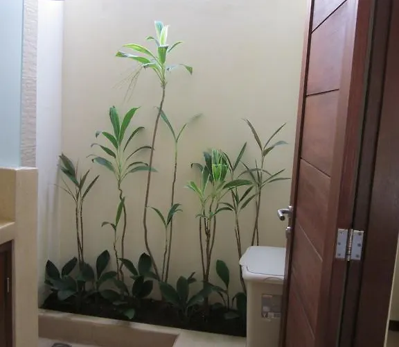 Sasa Bali